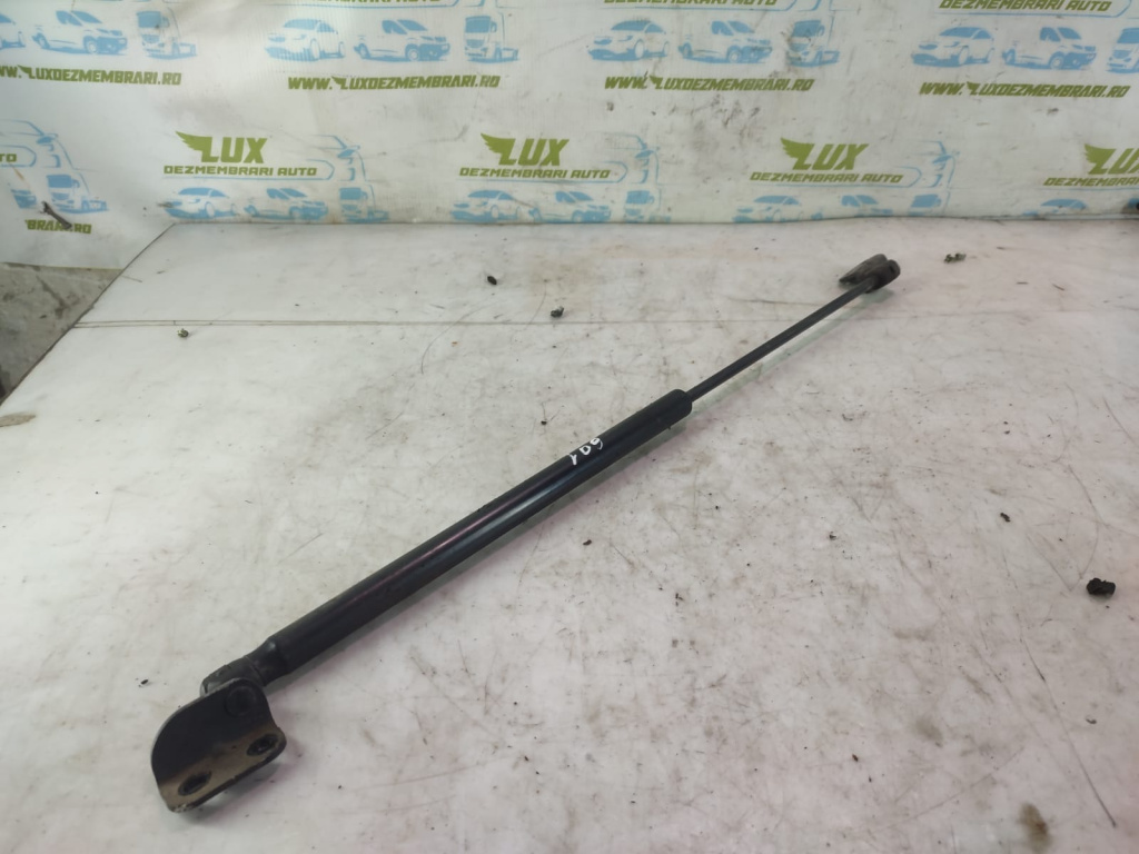 Amortizor haion 2.5 crdi D4CB Kia Sorento [2002 - 2006] 2.5 crdi D4CB