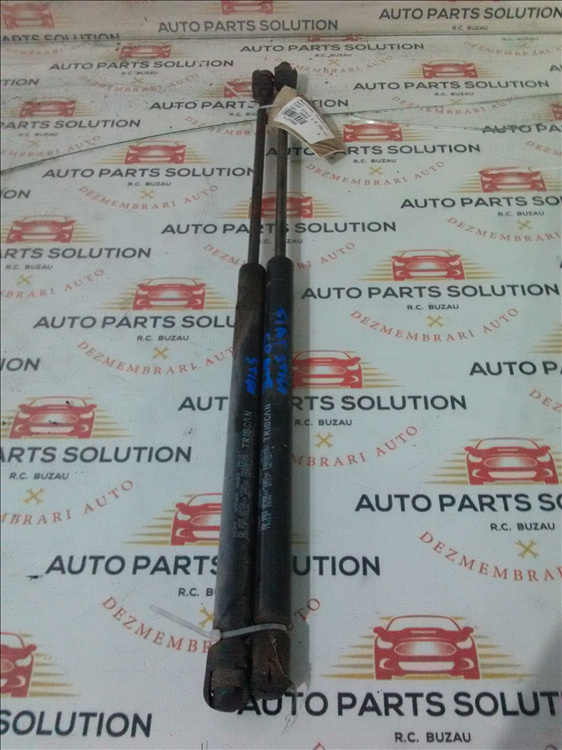 Amortizor haion (2 buc) FIAT STILO 1.9 JTD an fabr. 2004