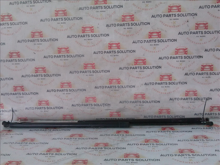 Amortizor haion (2 buc) RENAULT KANGOO an fabr. 2011
