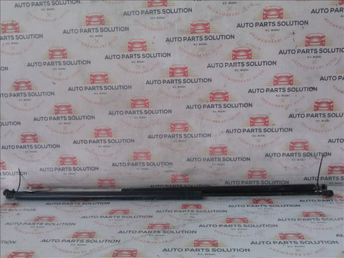 Amortizor haion (2 buc) RENAULT KANGOO an fabr. 2011