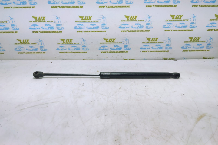 Amortizor haion 24463829 Opel Astra H [2004 - 2007]