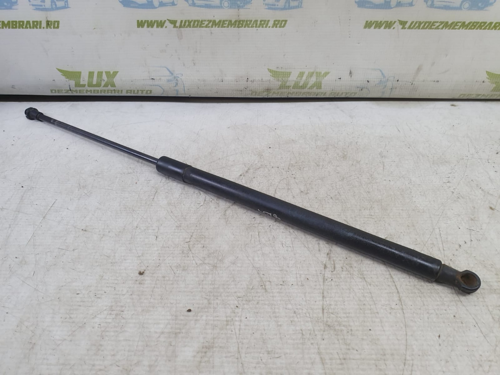 Amortizor haion 51248232873 BMW Seria 3 E46 [facelift] [2001 - 2006] 2.0 d M47D20 320d
