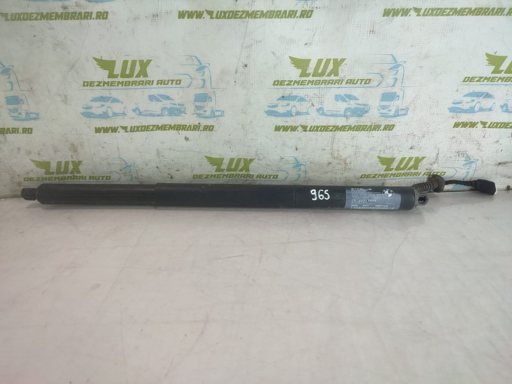 Amortizor haion 7365979 BMW Seria 2 Grand Tourer F44 [2015 - 2018] 2.0 d B47C20A