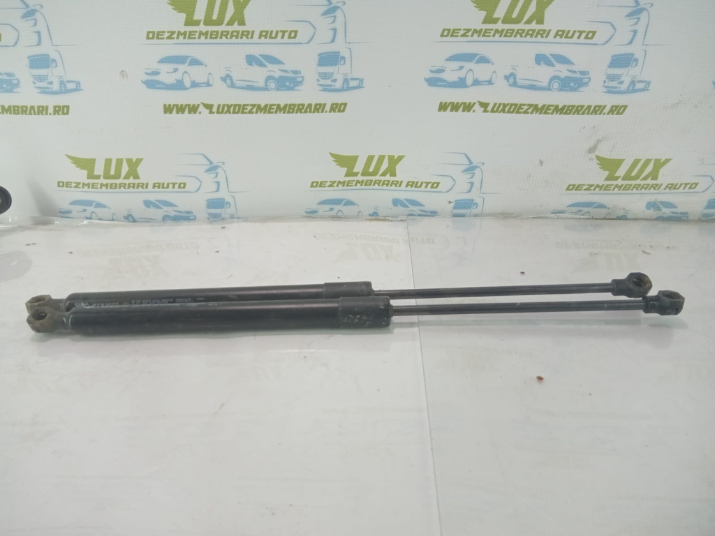 Amortizor haion 904502915r Renault Zoe [