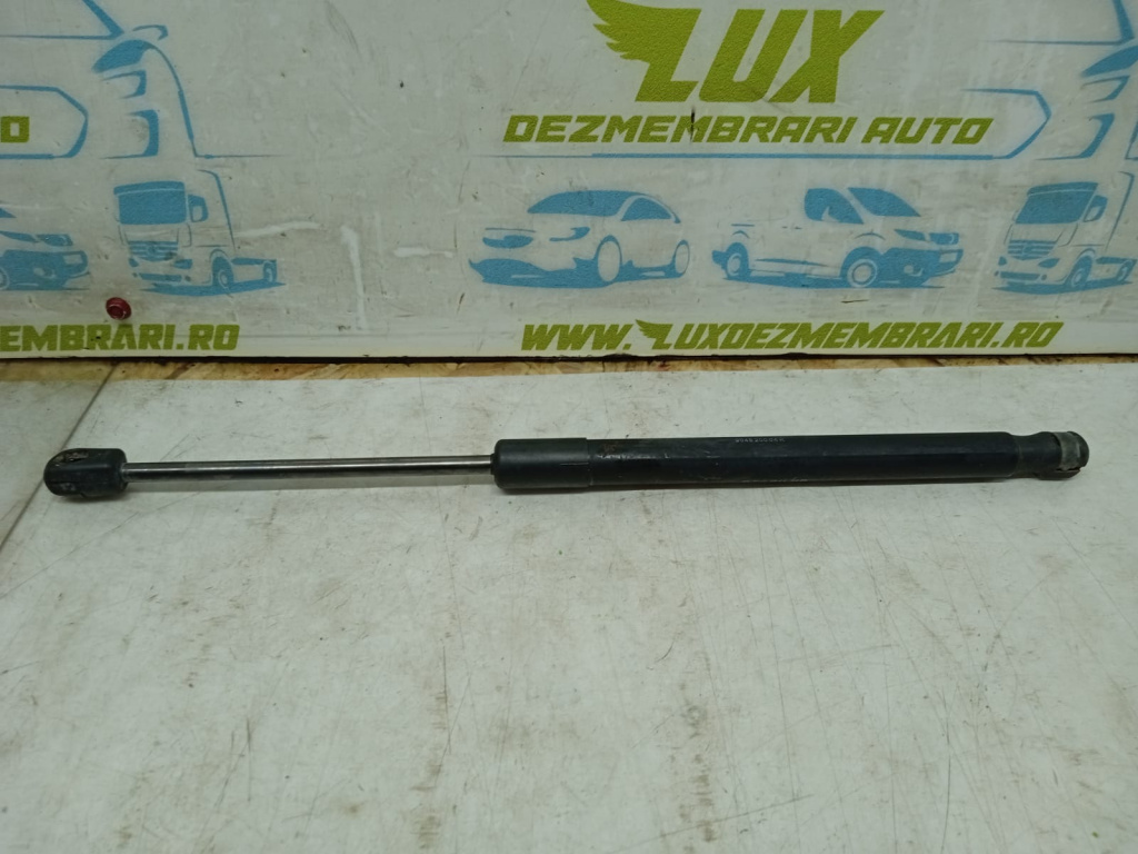 Amortizor haion 904520004r Dacia Duster [2010 - 2013]
