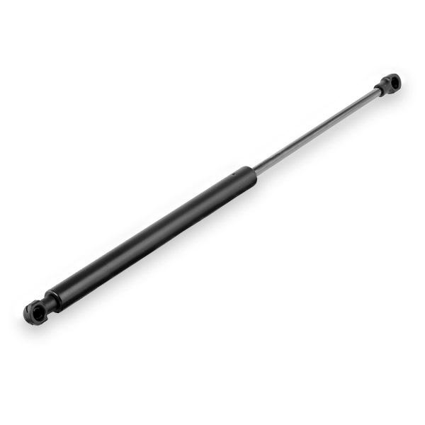 Amortizor Haion Am Renault Clio 3 2005-2014 8200299546