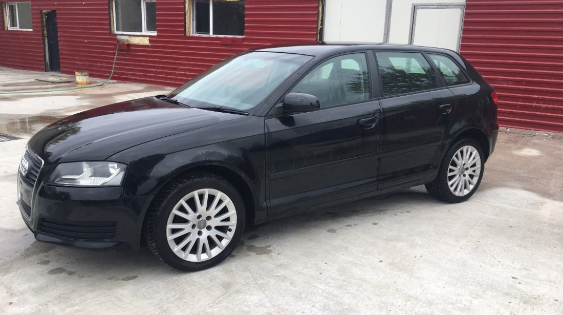 Amortizor haion Audi A3 8P 1.9 TDI an fab. 2003 - 2010