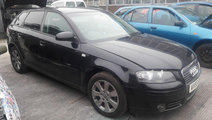 Amortizor haion Audi A3 8P 2006 Hatchback 2.0 TDI ...