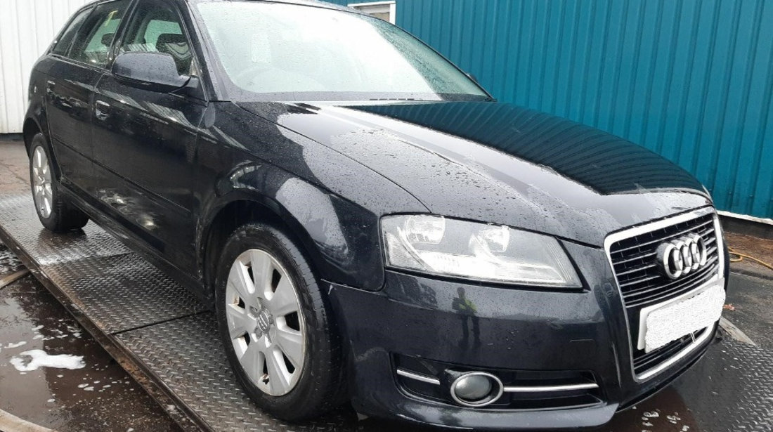 Amortizor haion Audi A3 8P 2011 Hatchback 2.0 IDT