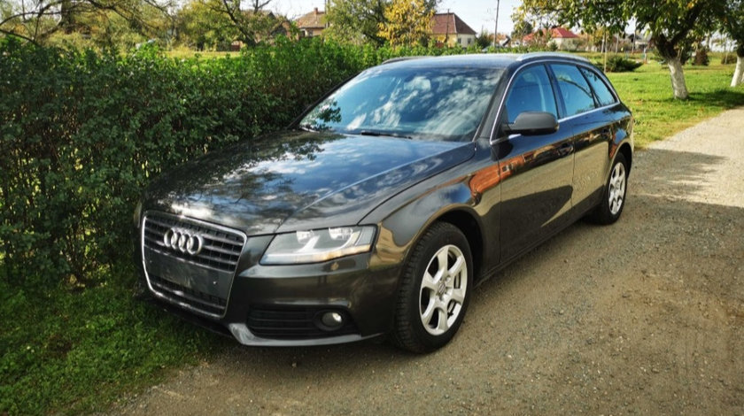 Amortizor haion Audi A4 B8 2011 Combi 2.0