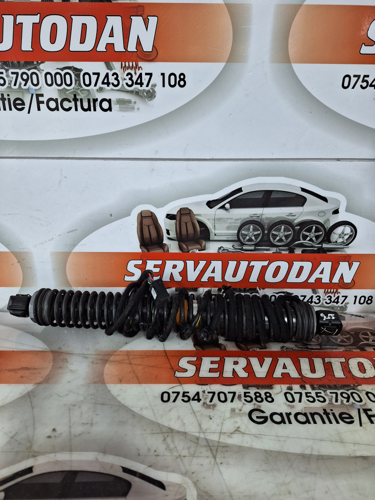 Amortizor haion BMW Seria 7 (2008-2015) [F01, F02] 3.0 Motorina 2012