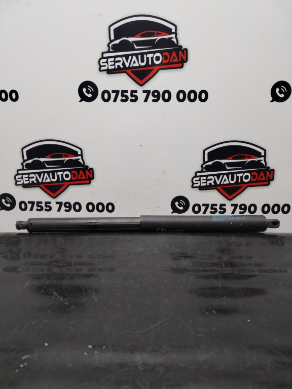 Amortizor haion BMW X5 (2007-2013) [E70] 3.0 Motorina 2012, 7294199-01