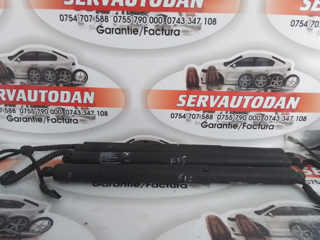 Amortizor haion BMW X5 (2012-2019) [F15] 3.0 Motorina 2015, 7294469