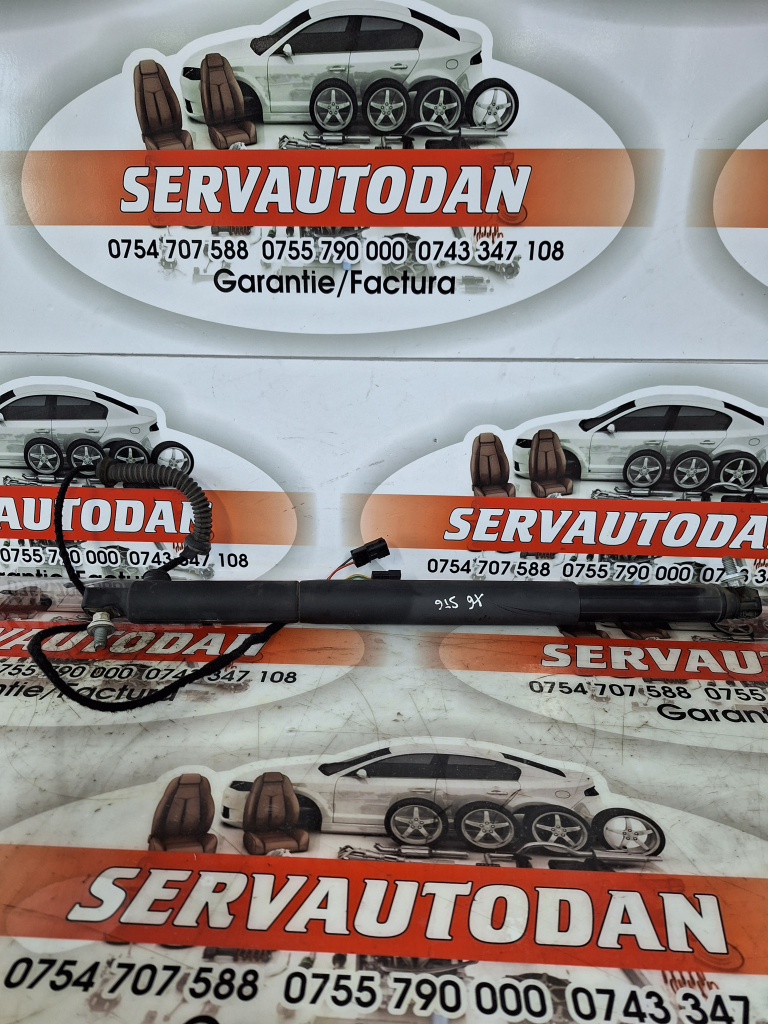 Amortizor haion BMW X6 (2008-2014) [E71, E72] 3.0 Motorina 2012