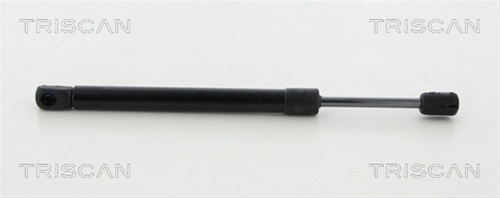 Amortizor Haion/capota Triscan Audi 8710 29204