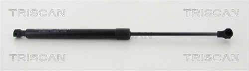 Amortizor Haion/capota Triscan Csnbb Audi 8710 25113