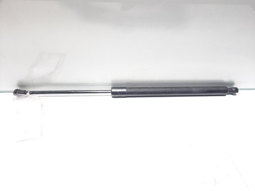 Amortizor haion, cod 904500004R, Renault Scenic 3 (id:380135)
