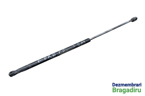 Amortizor haion dreapta Cod: 3M51-R406A10-AB 3M51-R406A10-AB Ford C-Max [2003 - 2007] Minivan 1.6 TD...