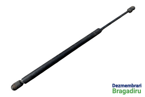 Amortizor haion dreapta Cod: XS41-A406A10-AE XS41-A406A10-AE Ford Focus [1998 - 2004] Hatchback 5-us...