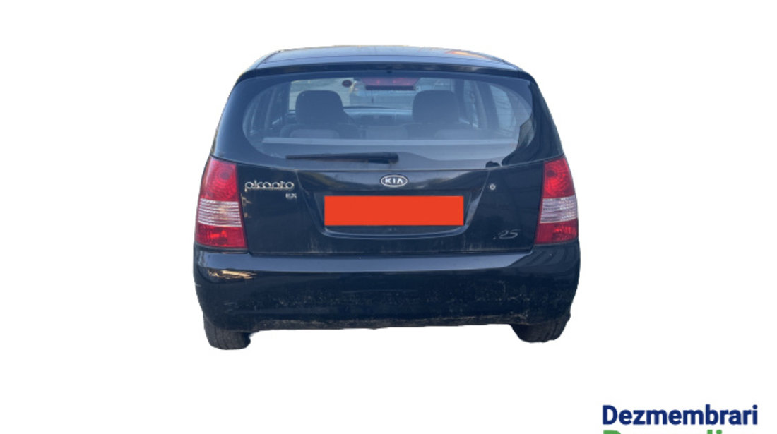 Amortizor haion dreapta Kia Picanto [2004 - 2007] Hatchback 1.1 AT (65 hp) Cod motor: G4HG