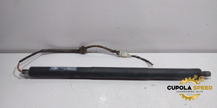 Amortizor haion electric 7361878 BMW X6 F16 [2014 - 2020]