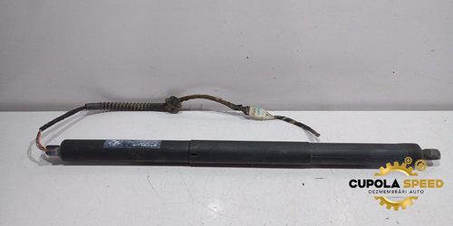 Amortizor haion electric 7361878 BMW X6 F16 [2014 - 2020]
