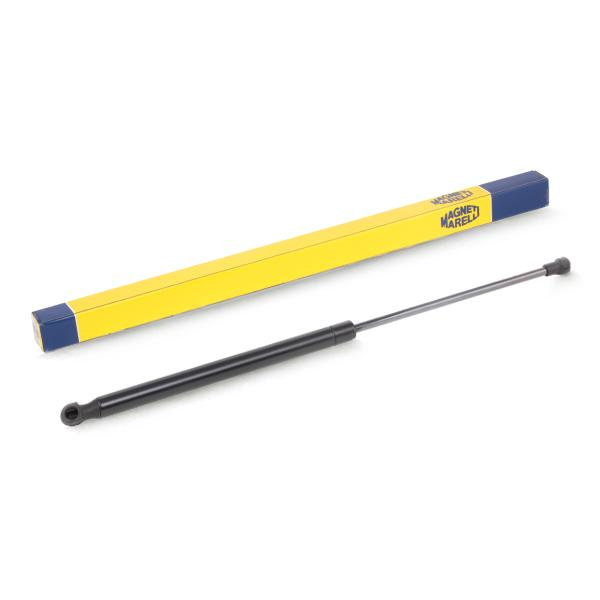Amortizor Haion Magneti Marelli 430719088600