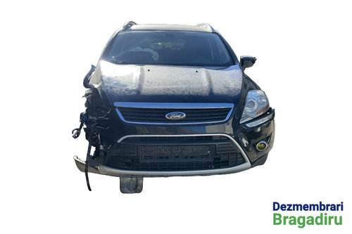 Amortizor haion mic stanga Ford Kuga [2008 - 2013] Crossover 2.0 TDCi MT AWD (140 hp) Cod motor: UFD...