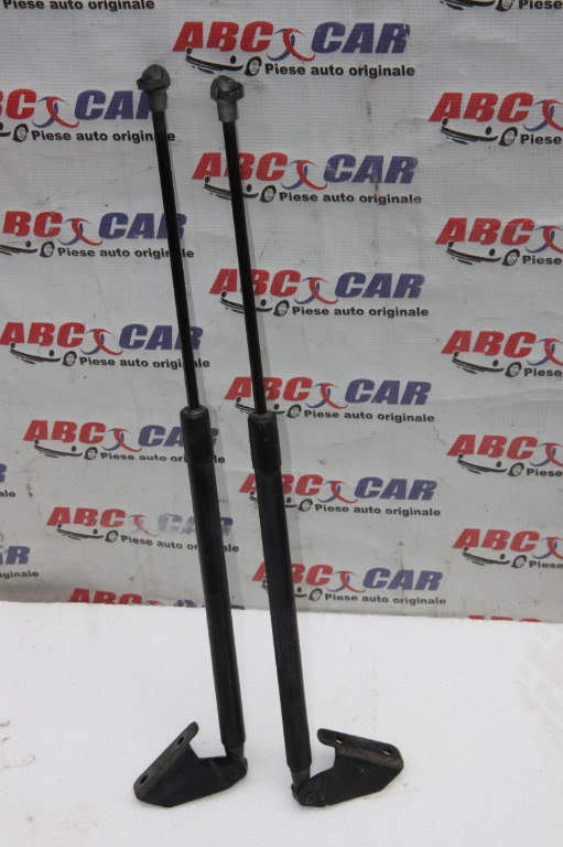 Amortizor haion Nissan Qashqai J10 2006-2013 cod: 90450JD01B