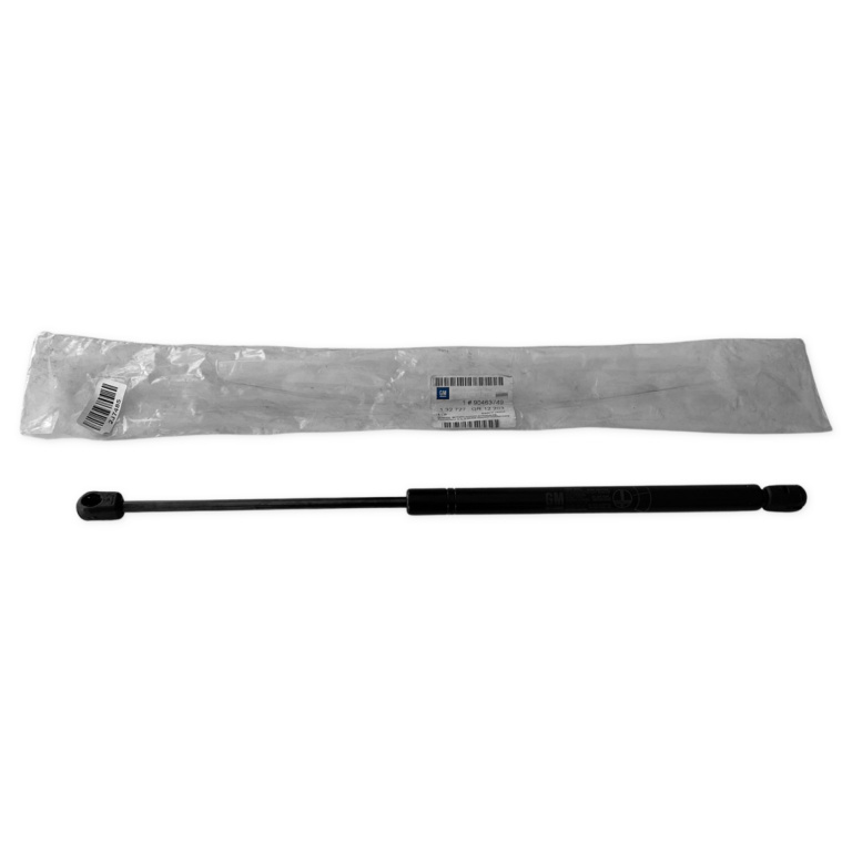 Amortizor Haion Oe Opel 90463749