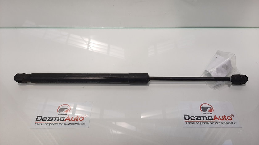 Amortizor haion, Renault Megane 3 [Fabr 2008-2015] 904510001R (id:429191)