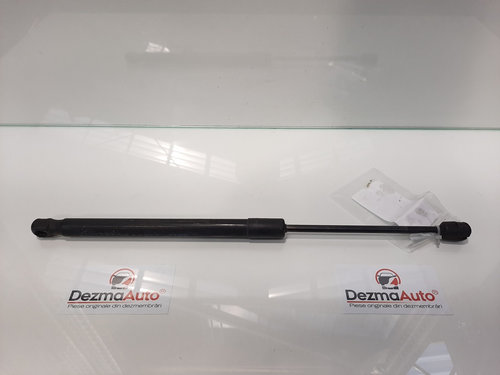 Amortizor haion, Renault Megane 3 [Fabr 2008-2015] 904510001R (id:429190)