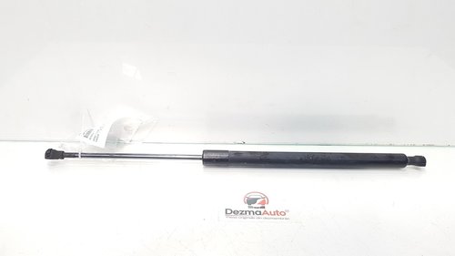 Amortizor haion, Renault Scenic 3, cod 904500004R (id:380135)