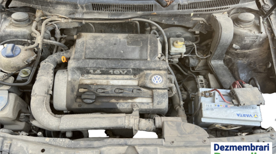 Amortizor haion stanga Volkswagen VW Golf 4 [1997 - 2006] Hatchback 5-usi 1.4 MT (75 hp) Cod motor AXP