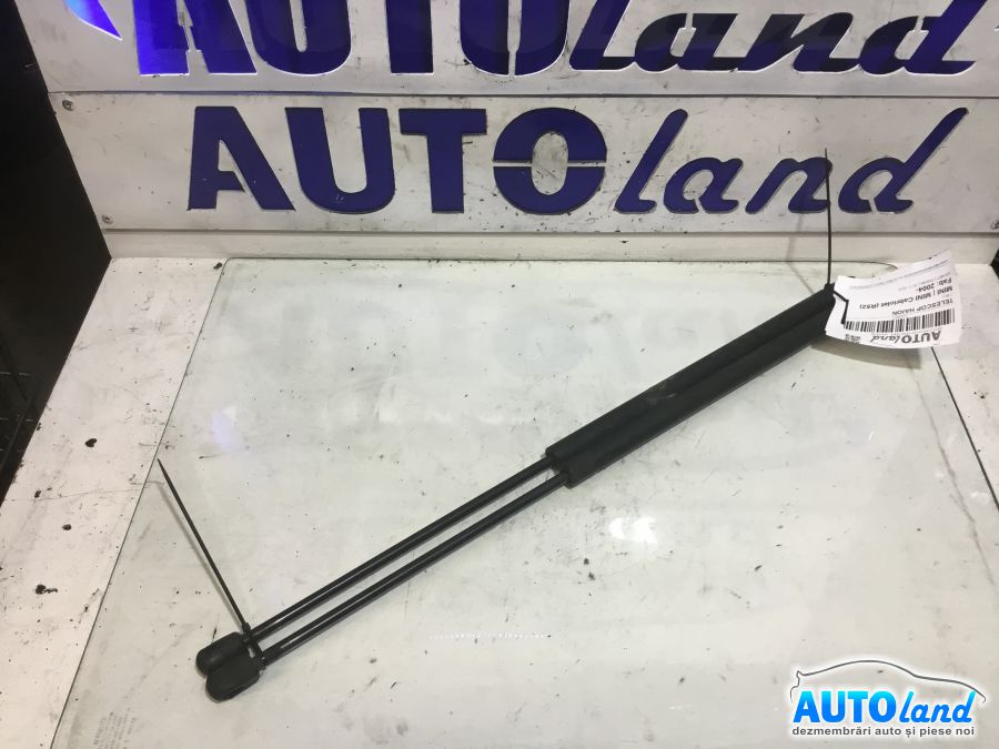Amortizor Haion telescop 2 Buc Mini MINI Cabriolet R52 2004