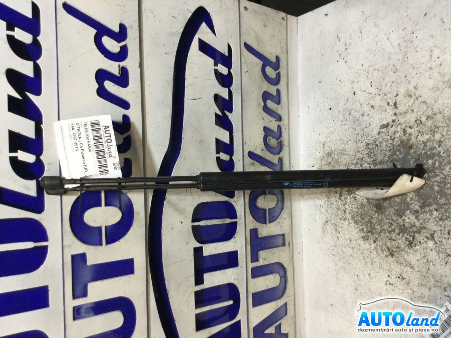 Amortizor Haion telescop 9654438680 2 Buc Citroen C4 Picasso UD 2007-2013