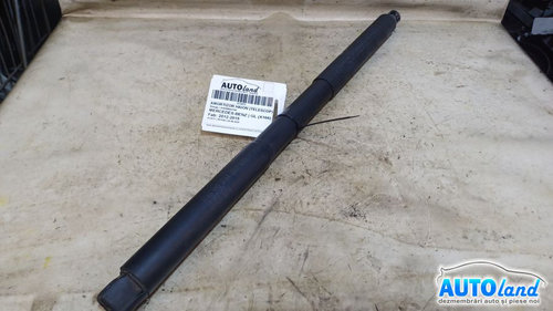 Amortizor Haion telescop A1669803764 Stanga Mercedes-Benz GL X166 2012-2015