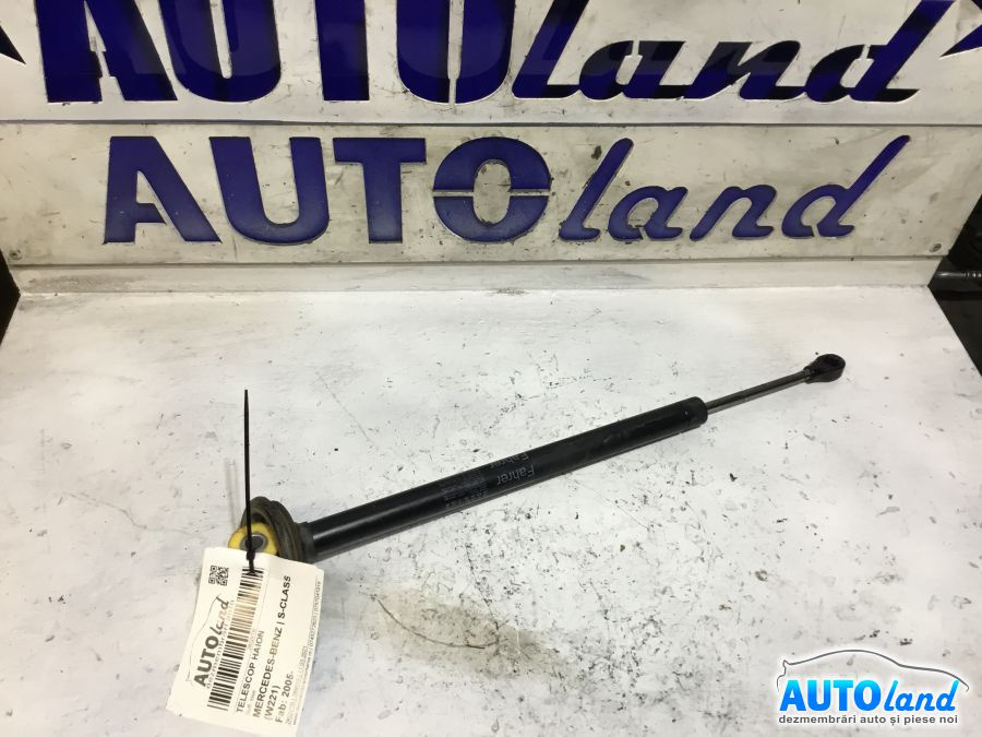 Amortizor Haion telescop A2217200016 Soft close Mercedes-Benz S-CLASS W221 2005