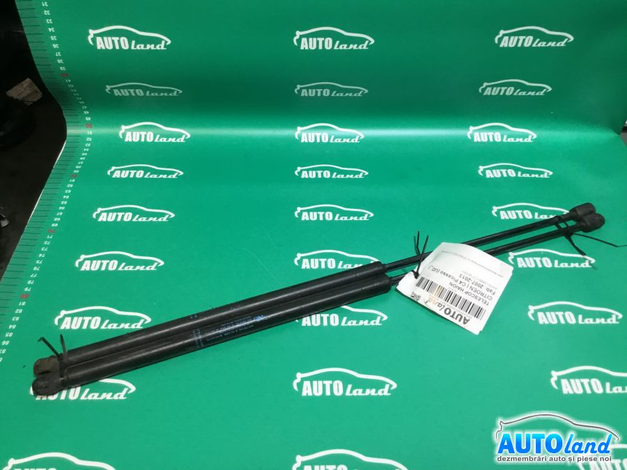 Amortizor Haion telescop Citroen C4 Picasso UD 2007-2013
