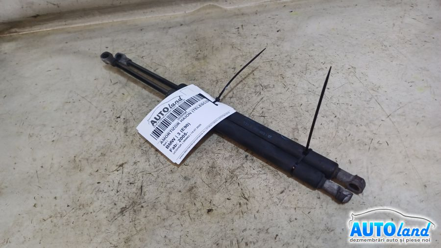 Amortizor Haion telescop Set BMW 3 E90 2005