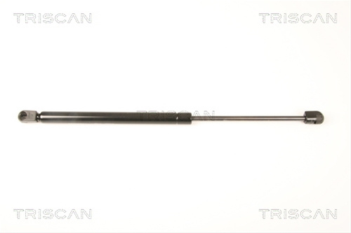 Amortizor, Luneta Triscan Hyundai 8710 43233