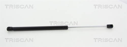 Amortizor, Luneta Triscan Kia 8710 18231