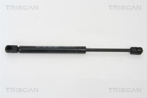 Amortizor, Luneta Triscan Peugeot 8710 28228