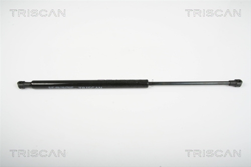 Amortizor, Luneta Triscan Renault 8710 25241