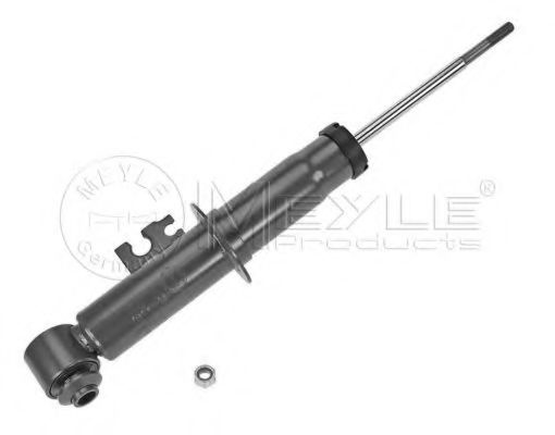 Amortizor MINI MINI CLUBMAN (R55) (2007 - 2015) MEYLE 326 723 0000 piesa NOUA