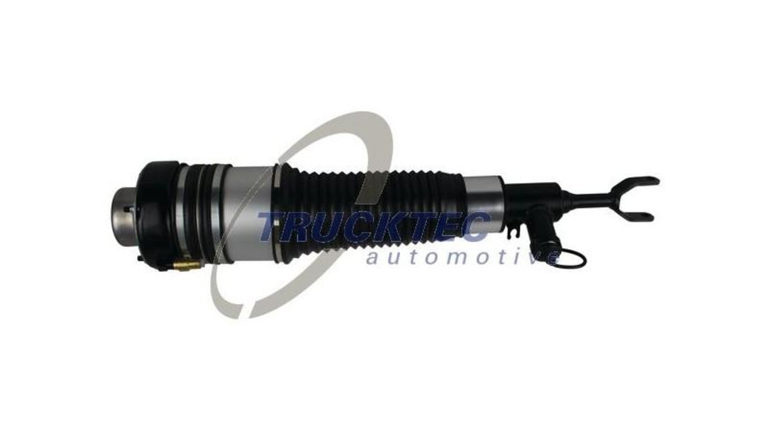 Amortizor pneumatic Audi AUDI A6 (4F2, C6) 2004-2011 #2 0730056