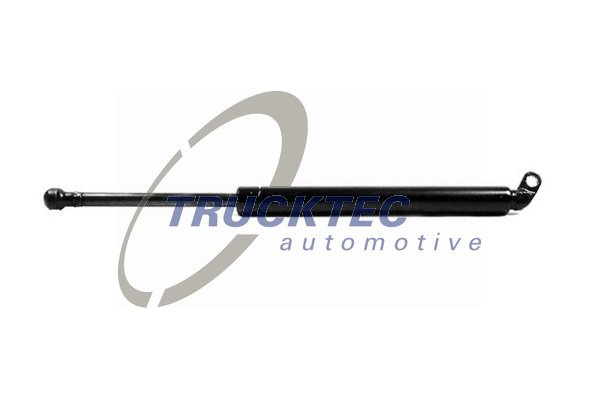 Amortizor portbagaj (0862013 TRUCKTEC) BMW