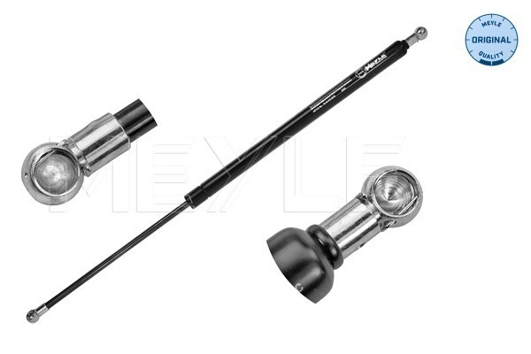 Amortizor portbagaj (16409100016 MEYLE) RENAULT