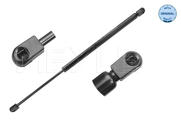 Amortizor portbagaj (16409100017 MEYLE) RENAULT