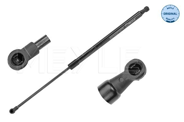 Amortizor portbagaj (16409100036 MEYLE) RENAULT